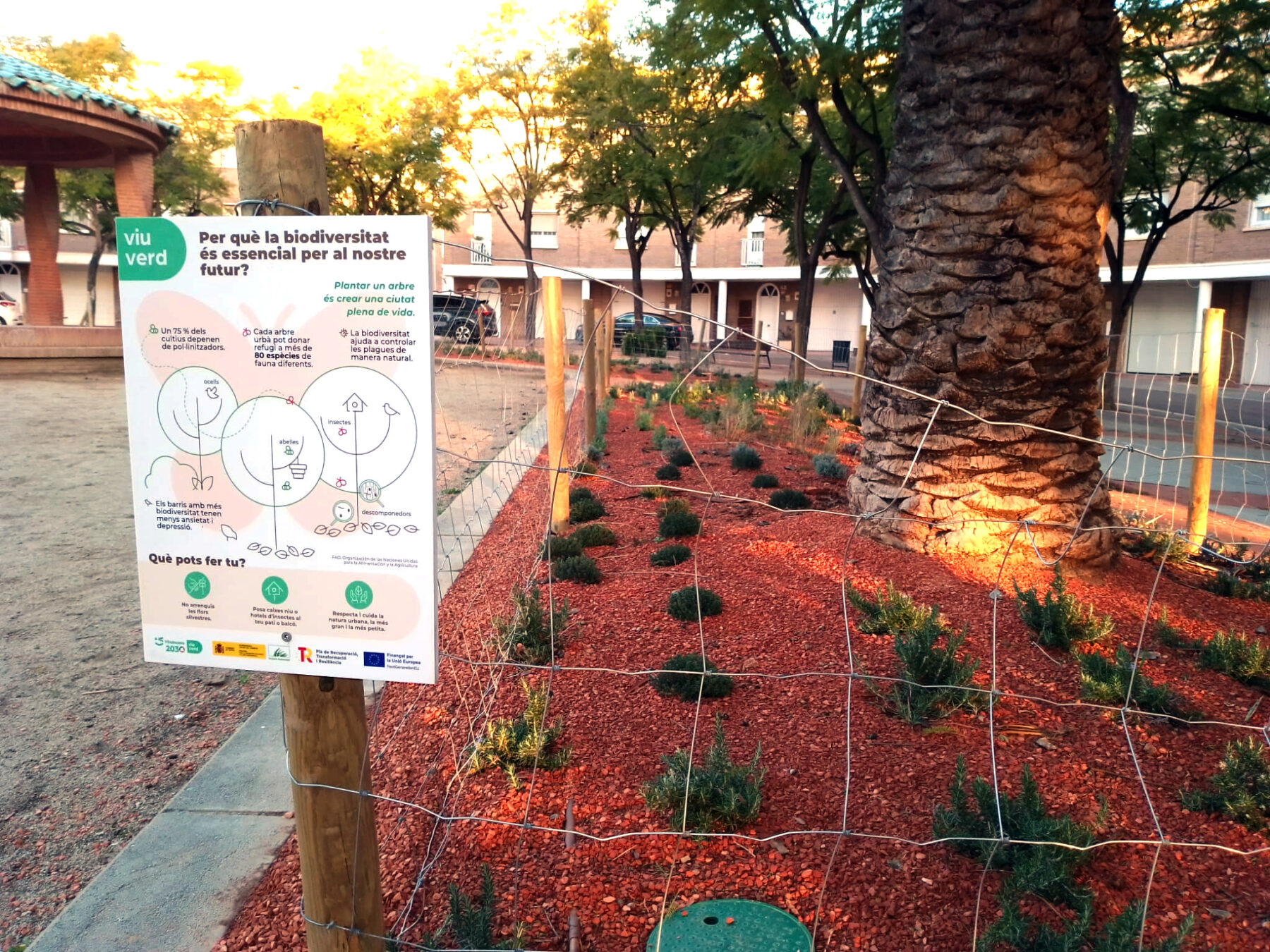 Aquesta imatge té l'atribut alt buit; el seu nom és Viu-verd_infografia-biodiversitat_LA-PAGE-1800x1350.jpg